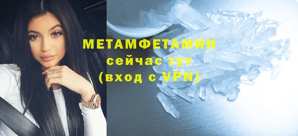 прущие грибы Козловка