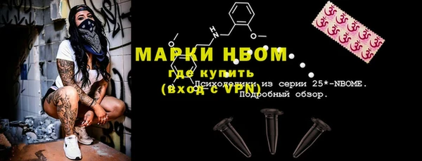 прущие грибы Козловка