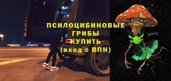 прущие грибы Козловка