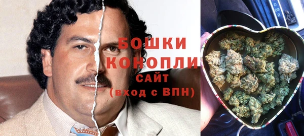 2c-b Костерёво