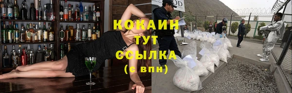 ECSTASY Билибино