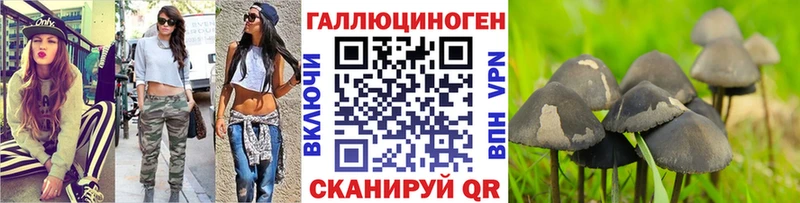 KRAKEN ТОР  Кинешма  маркетплейс клад  цены наркотик  Псилоцибиновые грибы Psilocybine cubensis 