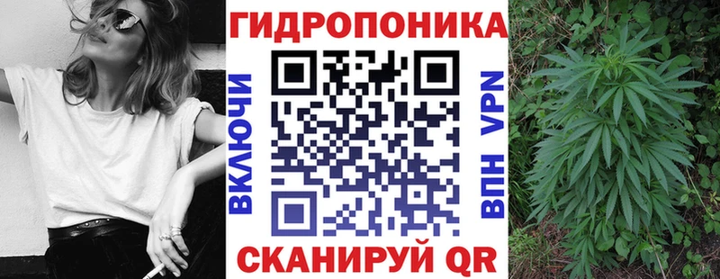 Канабис ГИДРОПОН  Кинешма 